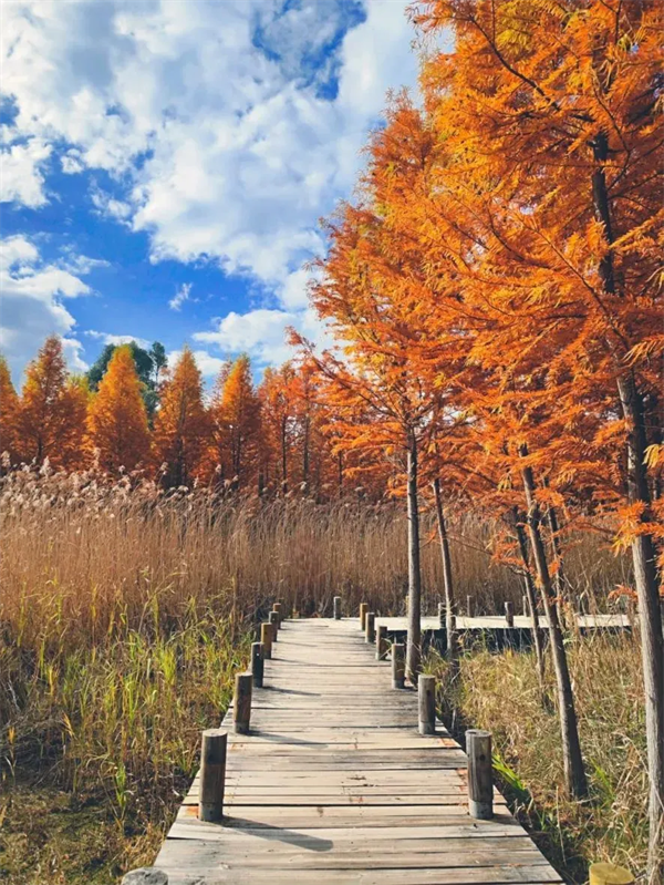 imgi_6_640 imgi_6_640