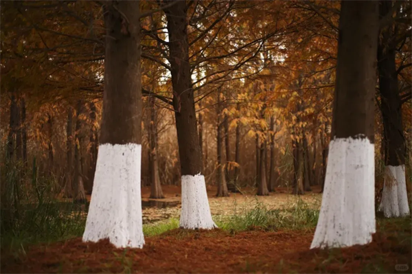 imgi_7_640 imgi_7_640