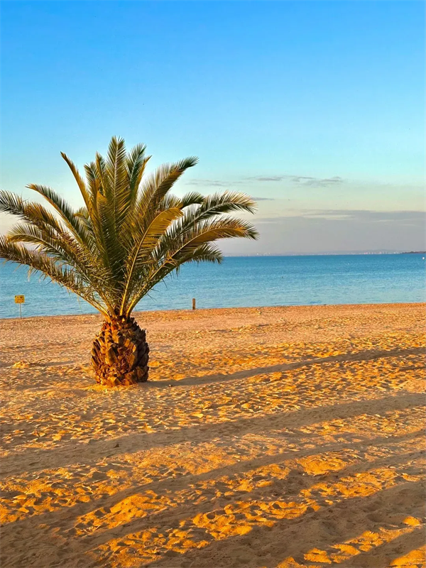 imgi_9_640 imgi_9_640