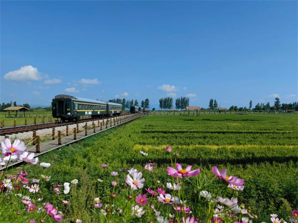 imgi_12_640 imgi_12_640