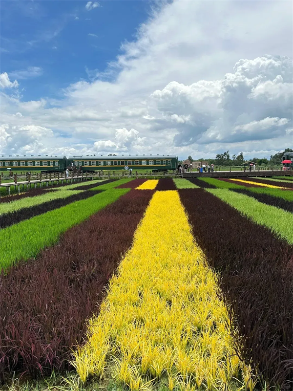 imgi_13_640 imgi_13_640