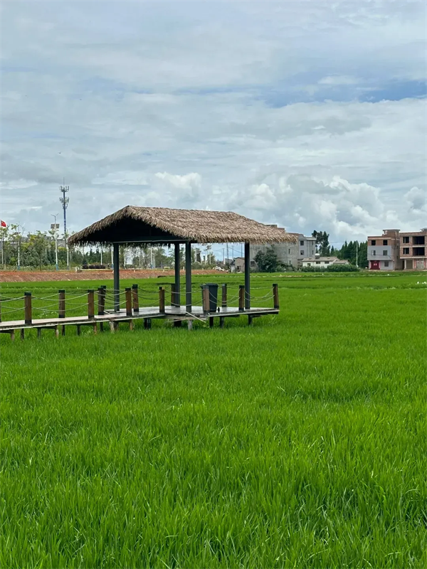 imgi_14_640 imgi_14_640