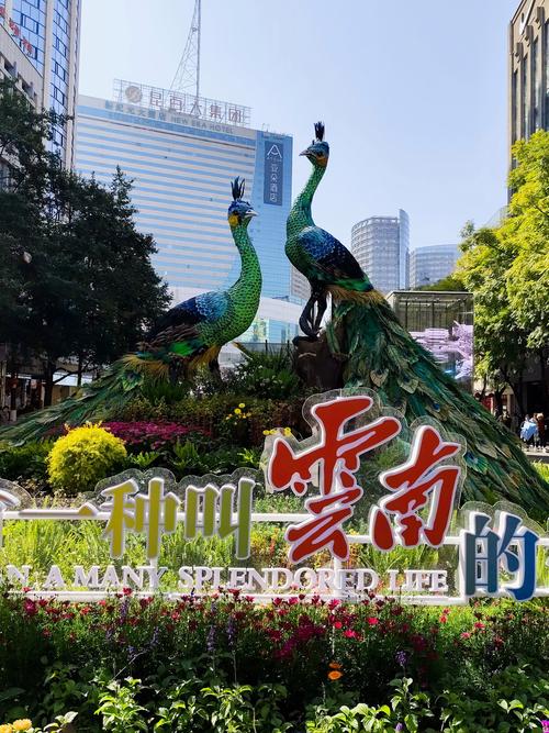 有一种叫云南的生活 有一种叫云南的生活