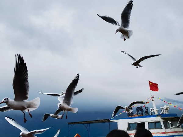 imageye___-_imgi_40_640 imageye___-_imgi_40_640