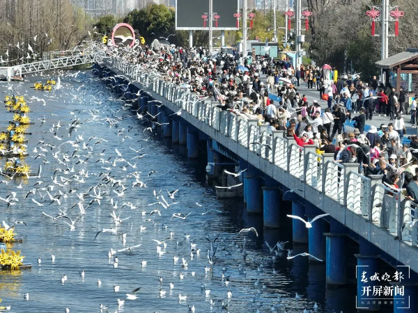 imageye___-_imgi_38_640_副本 imageye___-_imgi_38_640_副本