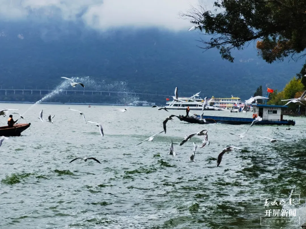 imageye___-_imgi_26_640 imageye___-_imgi_26_640