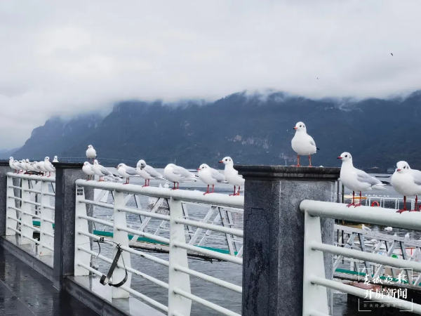 imageye___-_imgi_15_640 imageye___-_imgi_15_640