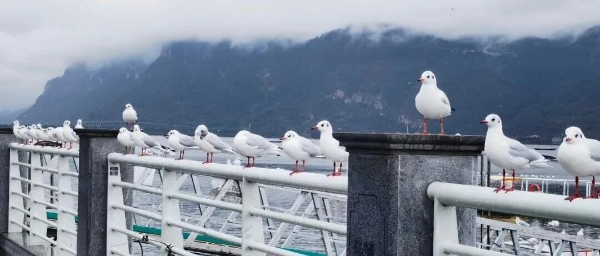 imageye___-_imgi_1_0_副本 imageye___-_imgi_1_0_副本