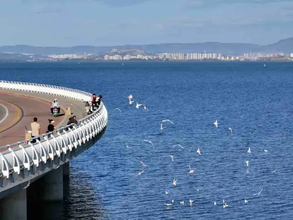 imageye___-_imgi_32_640 imageye___-_imgi_32_640