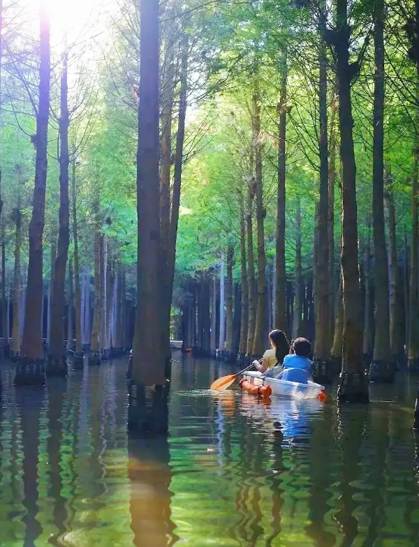 imageye___-_imgi_60_640