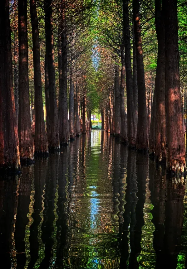 imageye___-_imgi_39_640