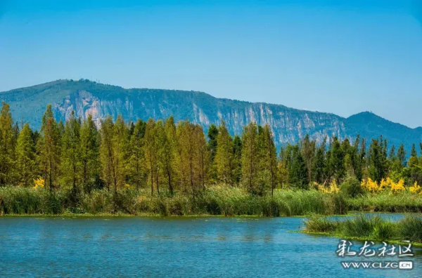 imageye___-_imgi_45_640