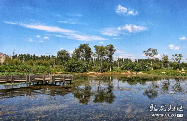 imageye___-_imgi_55_640