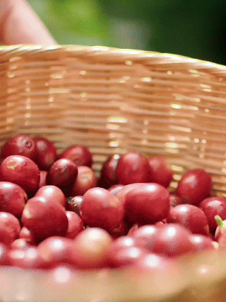 1836880_2048x2048 1836880_2048x2048