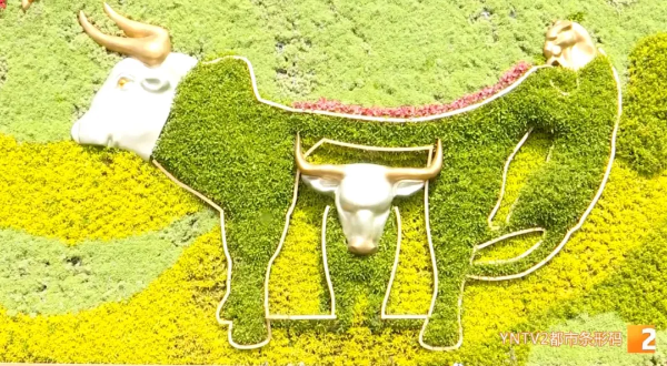 imgi_5_640 imgi_5_640