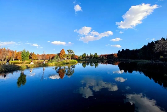 海洪湿地2 文旅云南