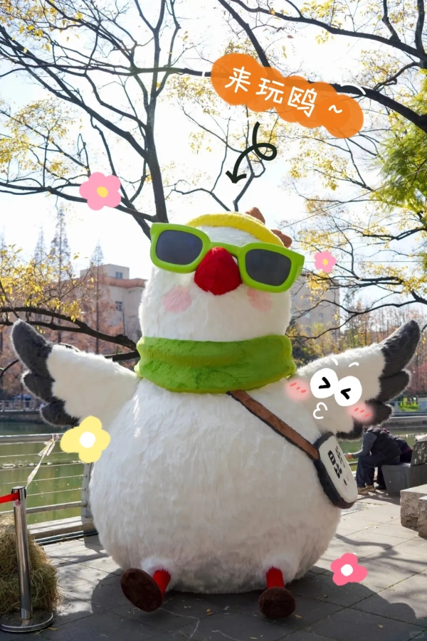 图片 (4) 图片 (4)