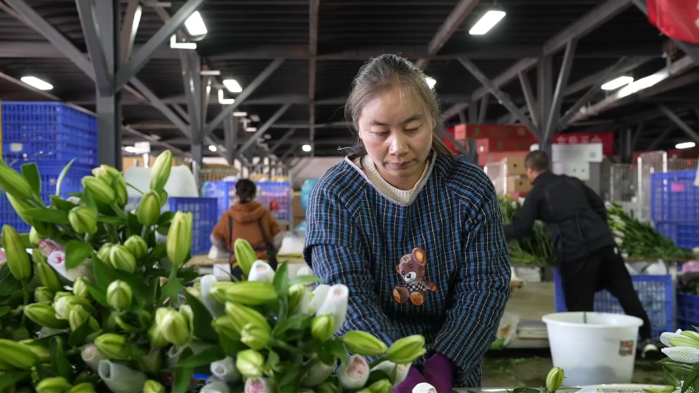 202602022ee982b3e1d74fcdbcfdb3a78e0b8ae3_3bc26c1f42af435c9f39e92a560ba0a6