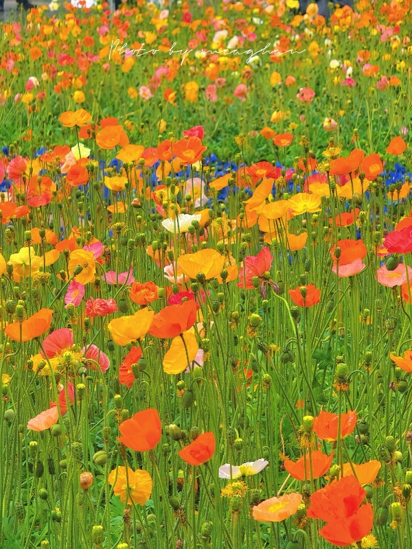 微信图片_20260211165104_191_7 微信图片_20260211165104_191_7