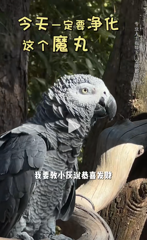 7 截图 胡静抖音号