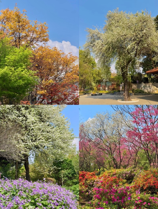 逛吃情报局 逛吃情报局