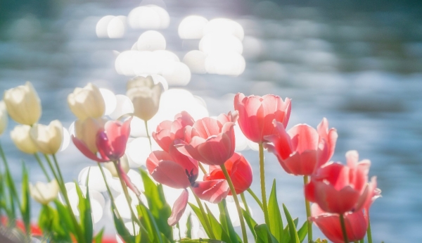 微信图片_20260324141452_11_193 微信图片_20260324141452_11_193