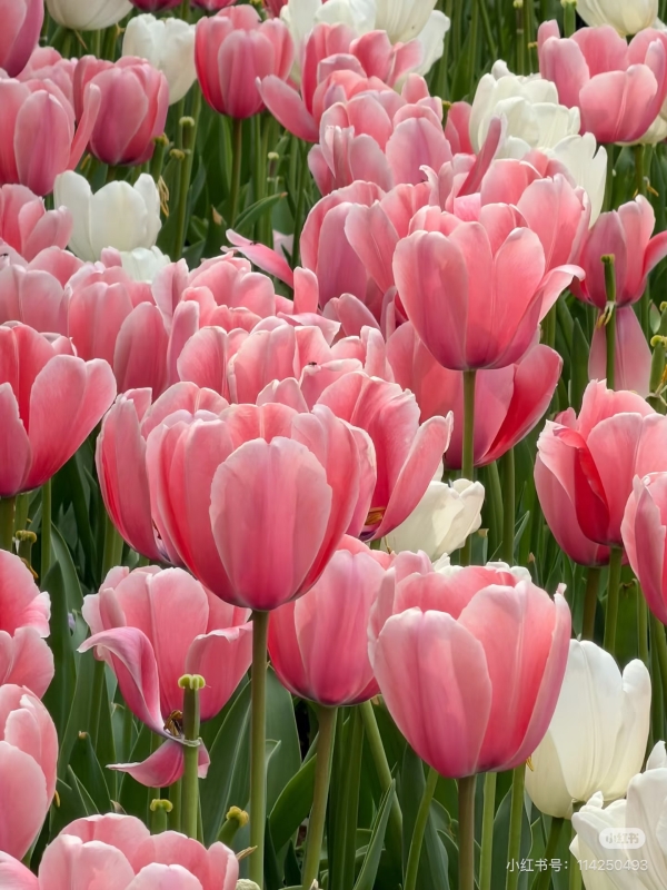 微信图片_20260324141701_17_193 微信图片_20260324141701_17_193