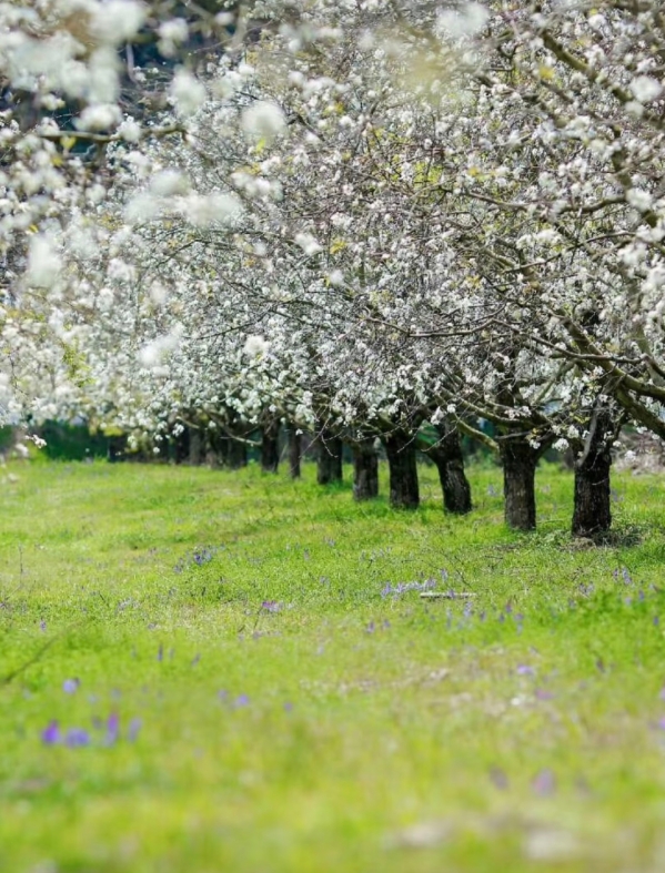 微信图片_20260324160306_31_193 微信图片_20260324160306_31_193