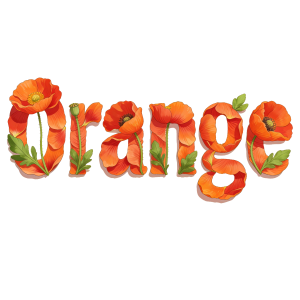 橙 橙
