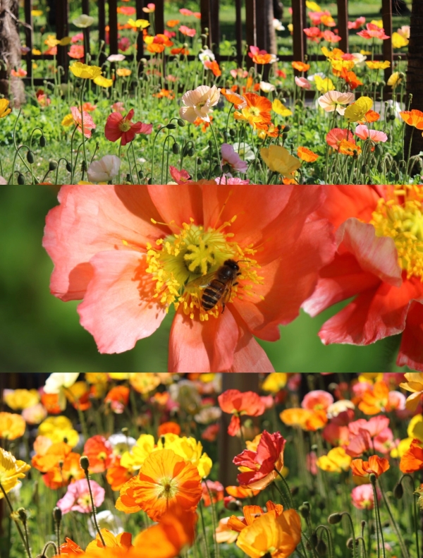 微信图片_20260324161325_34_193 微信图片_20260324161325_34_193