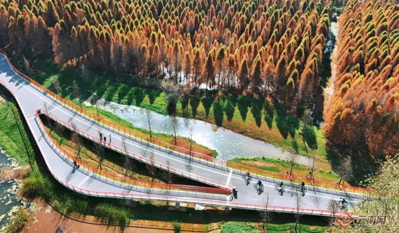 图片 (5) 图片 (5)