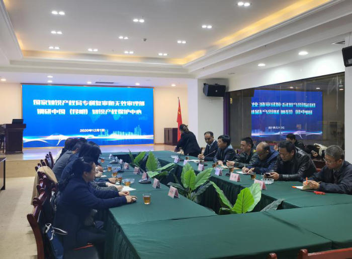 国家知识产权局专利局考察组一行调研中国（昆明）知识产权保护中心建设情况