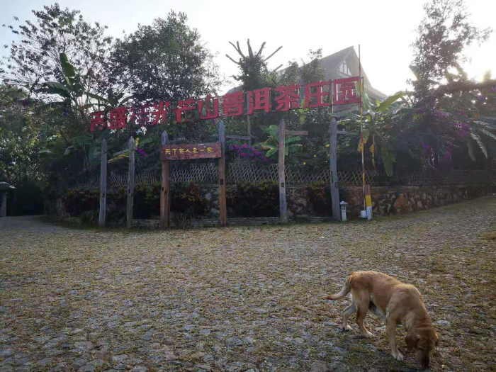 资讯频道