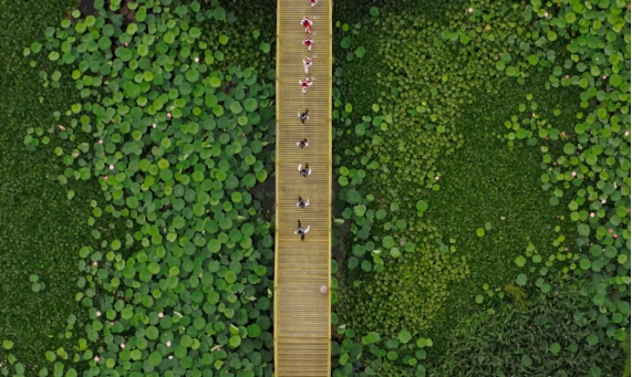资讯频道
