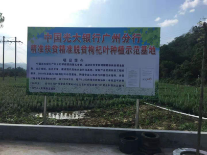 资讯频道