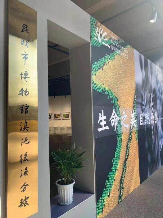 资讯频道