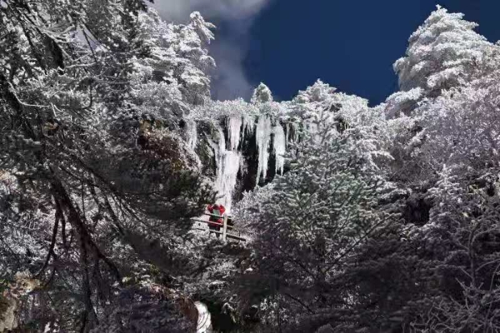 资讯频道