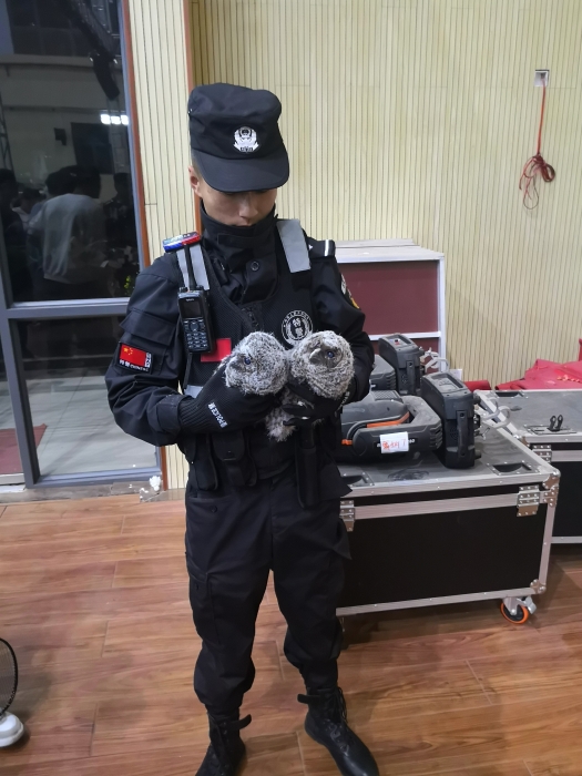 资讯频道