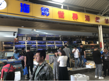 资讯频道