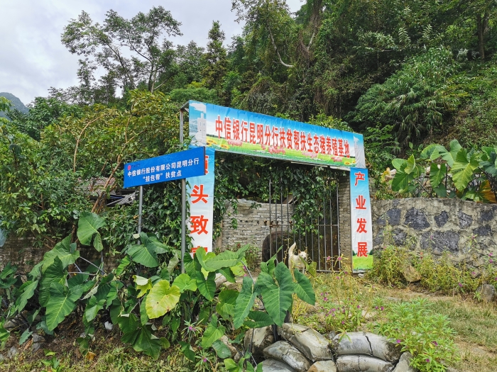 微信图片_20210508174848 燃烧激情 真心帮扶——中信银行昆明分行驻村干部的帮扶之道