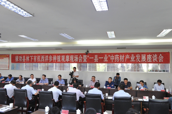座谈会 资讯频道