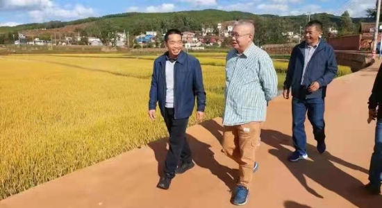 WechatIMG289 资讯频道