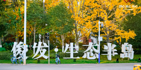 1 资讯频道