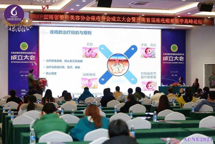皮肤3 资讯频道