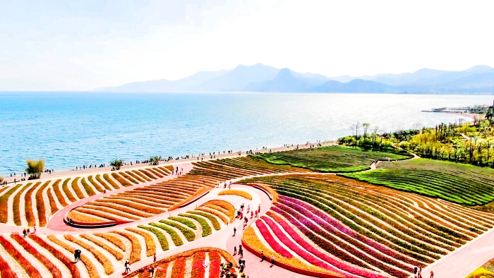 2B7FBDC05DE0957954D8C3DDA33D7104 资讯频道