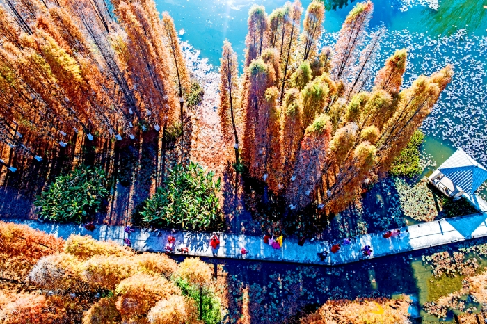 资讯频道