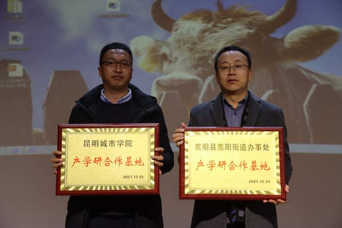 IMG_6049 资讯频道