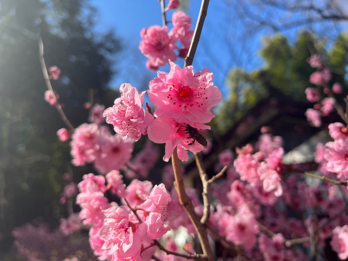 资讯频道