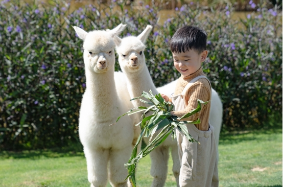资讯频道