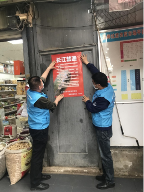 资讯频道